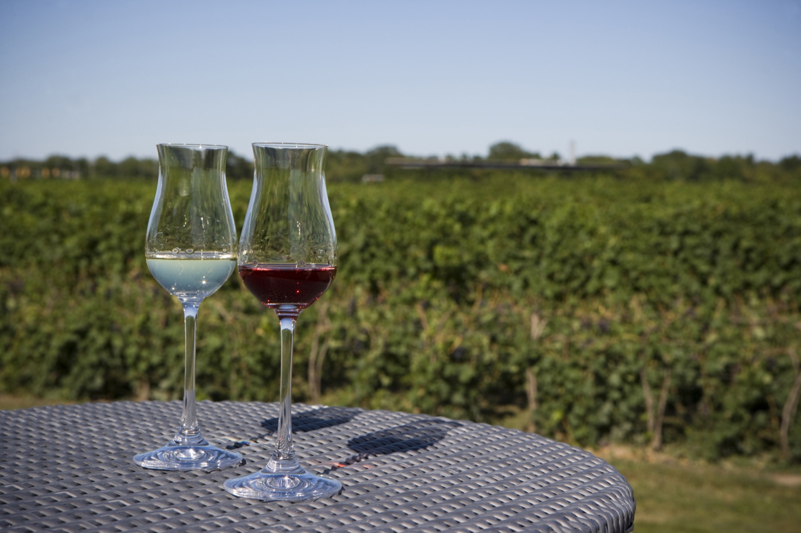 Niagara-on-the-Lake winery tasting